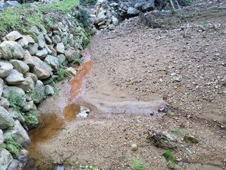 정수산님의 자유주제 · 자유게시판 작성글 사진