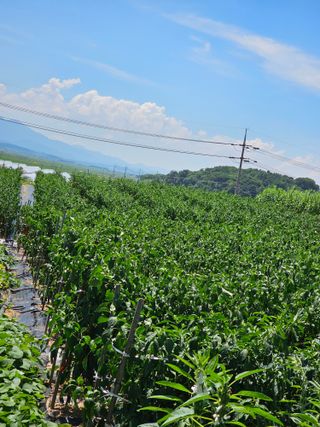 김문철님의 자유주제 · 자유게시판 작성글 사진