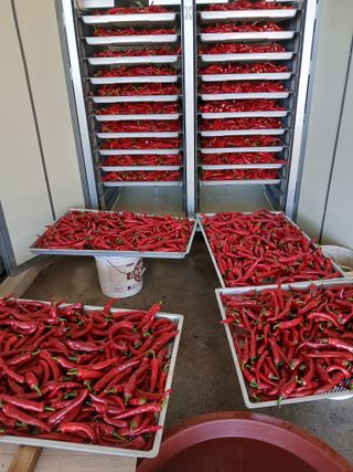 최남옥님의 자유주제 · 자유게시판 작성글 사진