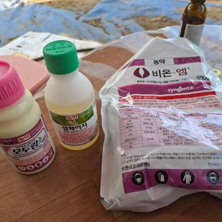 오영도님의 자유주제 · 자유게시판 작성글 사진