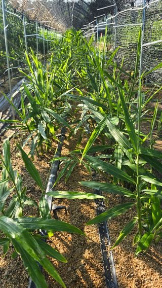 하재은님의 자유주제 · 자유게시판 작성글 사진