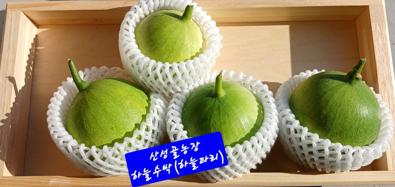 장터 상품 [하늘수박] 썸네일