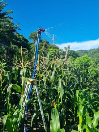 김용대님의 자유주제 · 자유게시판 작성글 사진