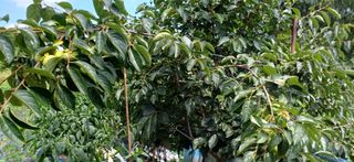 초보퍼머5도2촌준비님의 자유주제 · 자유게시판 작성글 사진