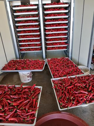 최남옥님의 자유주제 · 자유게시판 작성글 사진