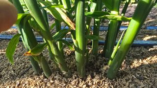 하재은님의 자유주제 · 자유게시판 작성글 사진