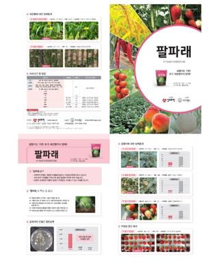 대산농사대장님의 작성글 사진