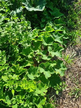 이남신님의 자유주제 · 자유게시판 작성글 사진