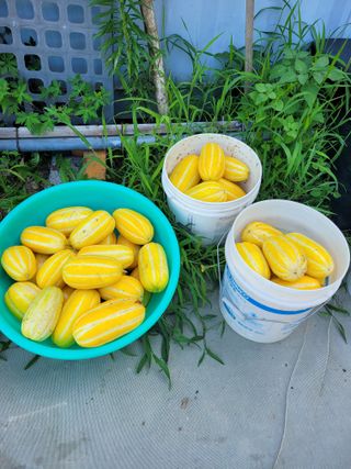 땅땅님의 자유주제 · 자유게시판 작성글 사진