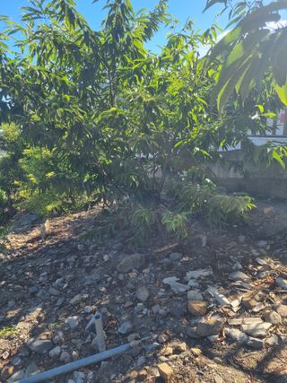 김용대님의 자유주제 · 자유게시판 작성글 사진