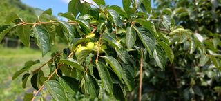 초보퍼머5도2촌준비님의 자유주제 · 자유게시판 작성글 사진