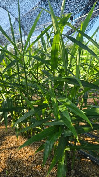 하재은님의 자유주제 · 자유게시판 작성글 사진