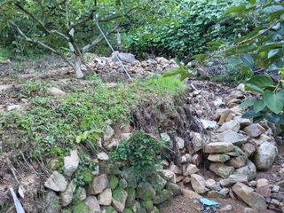 정수산님의 자유주제 · 자유게시판 작성글 사진