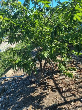 김용대님의 자유주제 · 자유게시판 작성글 사진