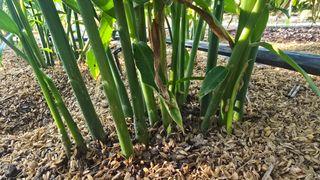 하재은님의 자유주제 · 자유게시판 작성글 사진