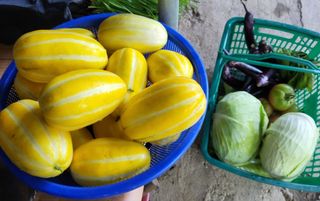 MSG0074님의 자유주제 · 자유게시판 작성글 사진