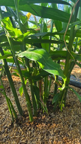 하재은님의 자유주제 · 자유게시판 작성글 사진