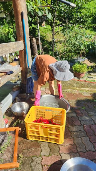 치악산골농부님의 자유주제 · 자유게시판 작성글 사진