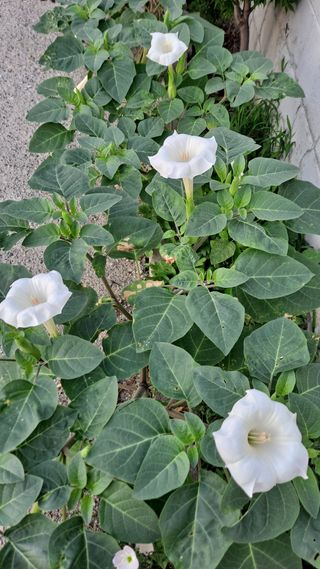 MSG0074님의 자유주제 · 자유게시판 작성글 사진