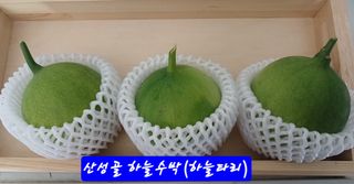 산성골농장님의 자유주제 · 자유게시판 작성글 사진