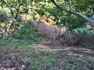 정수산님의 자유주제 · 자유게시판 작성글 사진