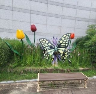 MSG0074님의 자유주제 · 자유게시판 작성글 사진