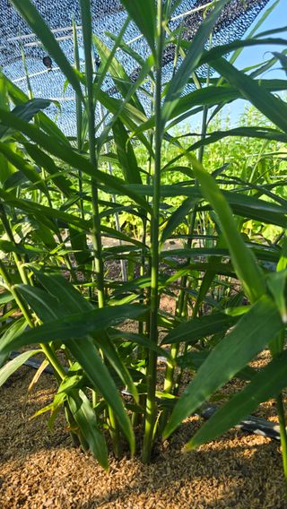 하재은님의 자유주제 · 자유게시판 작성글 사진