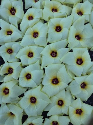 knlee님의 자유주제 · 자유게시판 작성글 사진