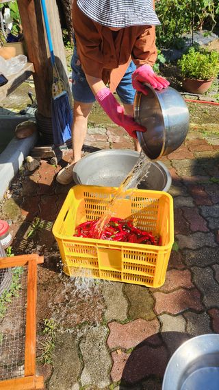 치악산골농부님의 자유주제 · 자유게시판 작성글 사진