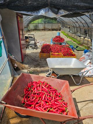 김문철님의 자유주제 · 자유게시판 작성글 사진