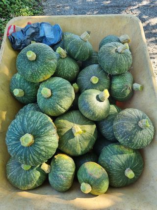 이남신님의 자유주제 · 자유게시판 작성글 사진