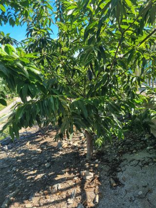 김용대님의 자유주제 · 자유게시판 작성글 사진