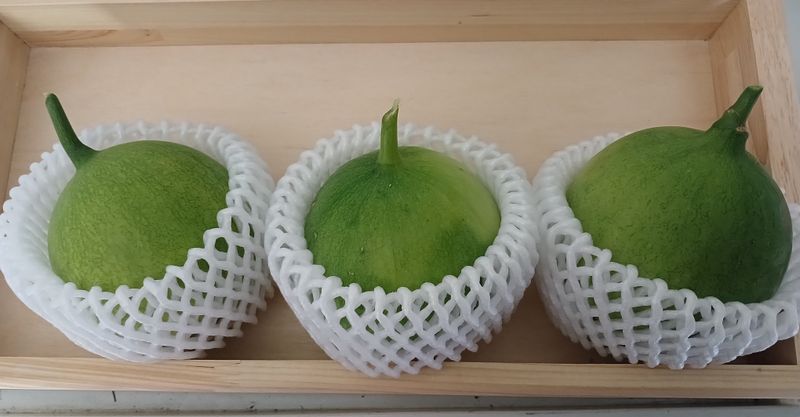 산성골농장님의 장터 판매 상품 [하늘수박] 첨부 사진