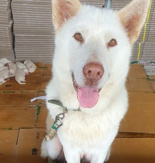 김인선님의 자유주제 · 자유게시판 작성글 사진