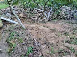 정수산님의 자유주제 · 자유게시판 작성글 사진