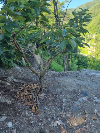 김용대님의 자유주제 · 자유게시판 작성글 사진