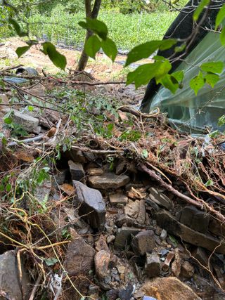 산희농원님의 자유주제 · 자유게시판 작성글 사진