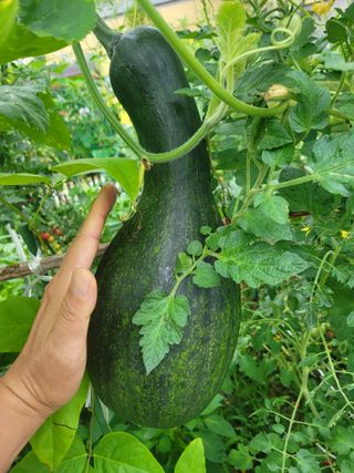 강신학님의 자유주제 · 자유게시판 작성글 사진