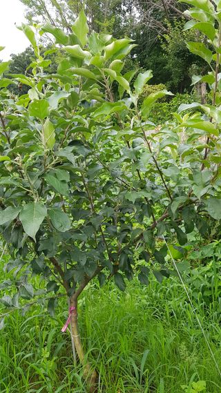 써니님의 농사, 무엇이든 물어보세요! · 참여글 작성글 사진