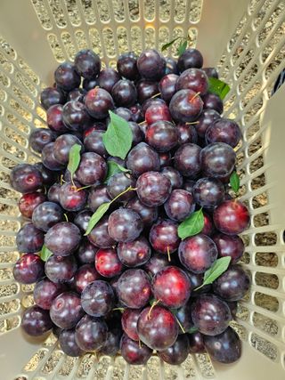 서정훈 님의 자유주제 · 자유게시판 작성글 사진