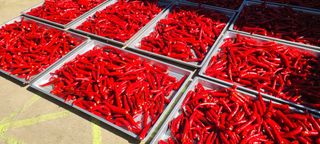 정진해님의 자유주제 · 자유게시판 작성글 사진