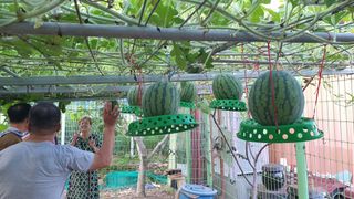 강윤원 보림팜(주)님의 작성글 사진