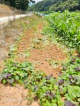 팜모닝 자유주제·자유게시판 게시글 이미지