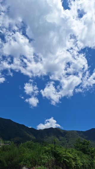 오남현님의 자유주제 · 자유게시판 작성글 사진