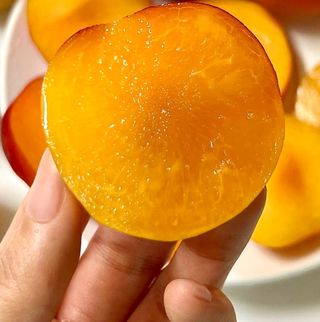 농부손녀님의 작성글 사진