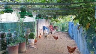 강윤원 보림팜(주)님의 작성글 사진