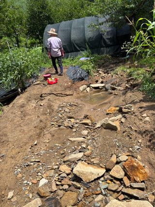 산희농원님의 자유주제 · 자유게시판 작성글 사진