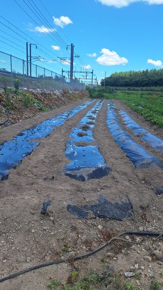 오남현님의 자유주제 · 자유게시판 작성글 사진