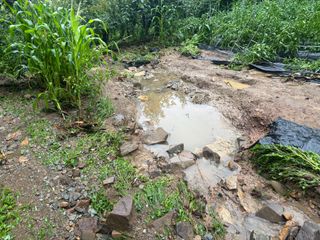 산희농원님의 자유주제 · 자유게시판 작성글 사진