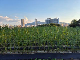 담디농원님의 자유주제 · 사진전 작성글 사진